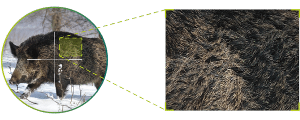 PixFra Volans LRF 4K - Image 4